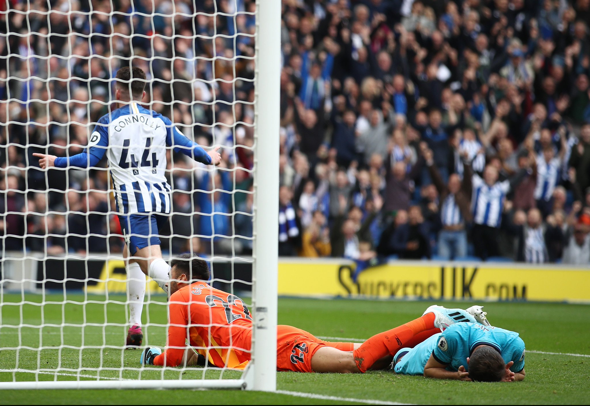 赛本土明星 赛本土明星